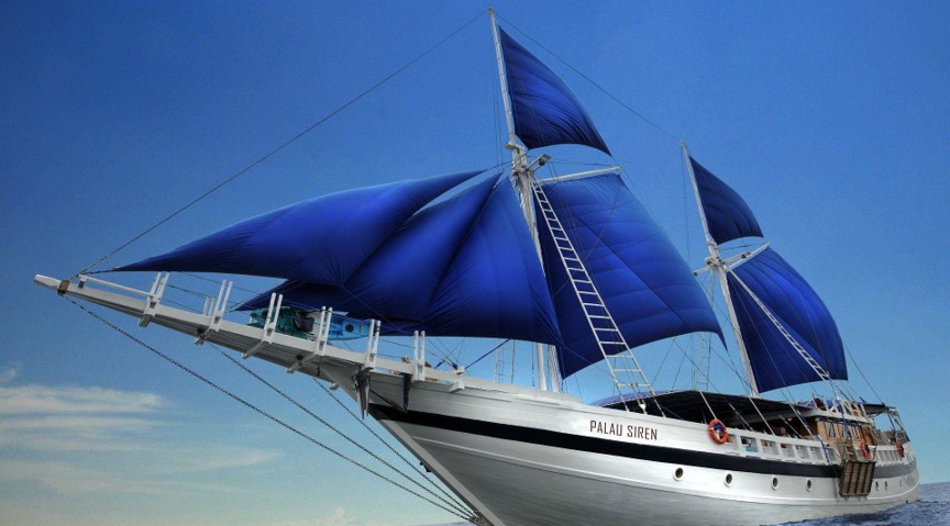 扬帆出海！yp街机之家数字化新征程