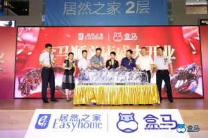 盒马来了，yp街机之家大消费火力全开