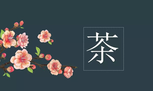 yp街机之家宜昌店业务部发展关于茶艺知识培训