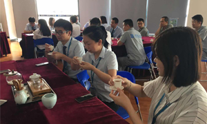 yp街机之家湖北分公司2019飞鹰打算066期之襄阳店发展《茶事礼节培训》